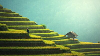sustainable tech