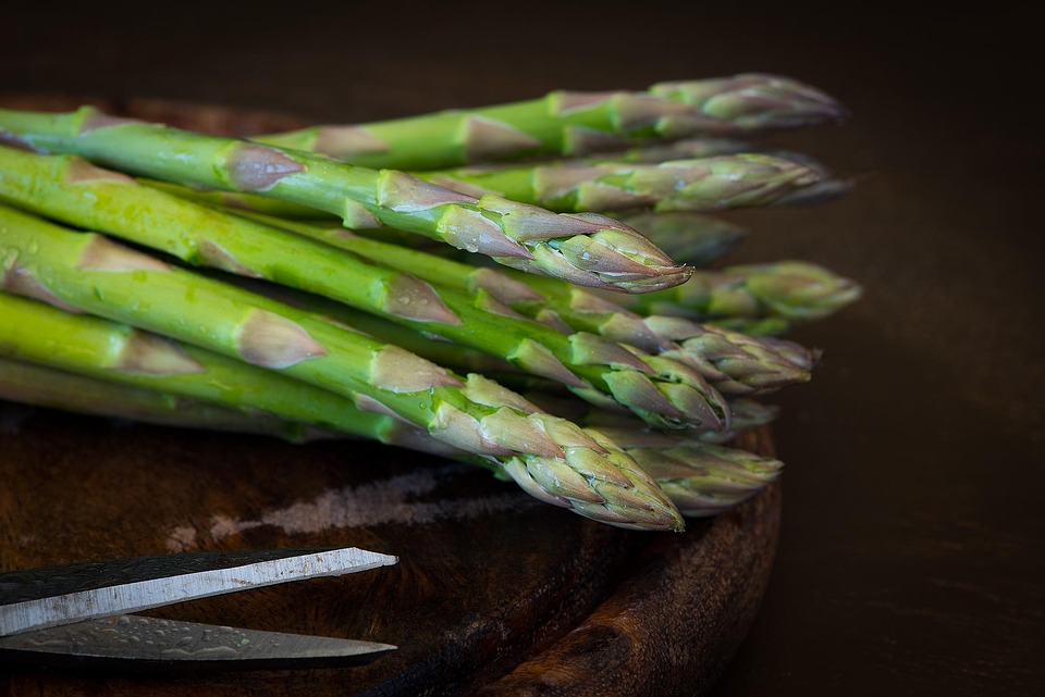 food recipes