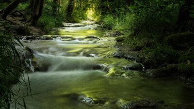 stream