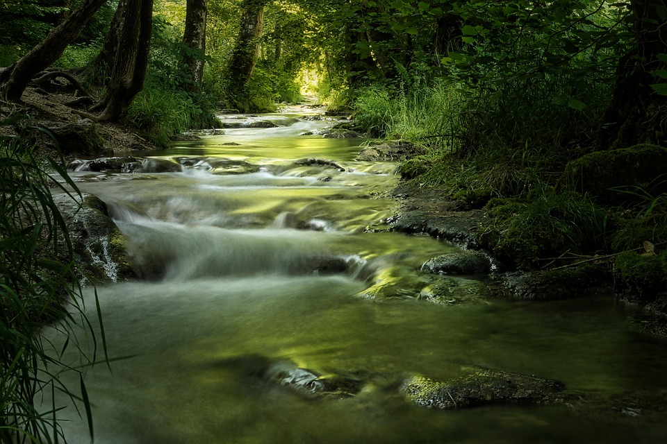 stream