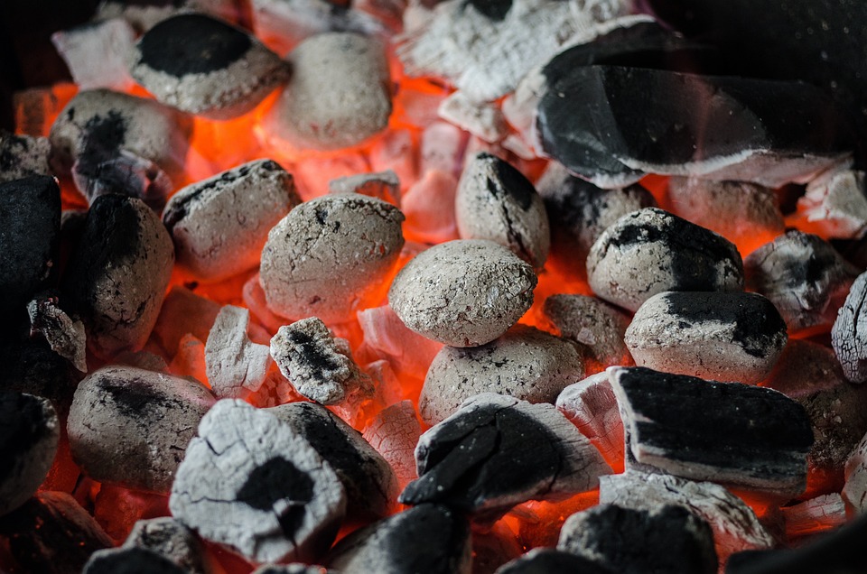 bbq