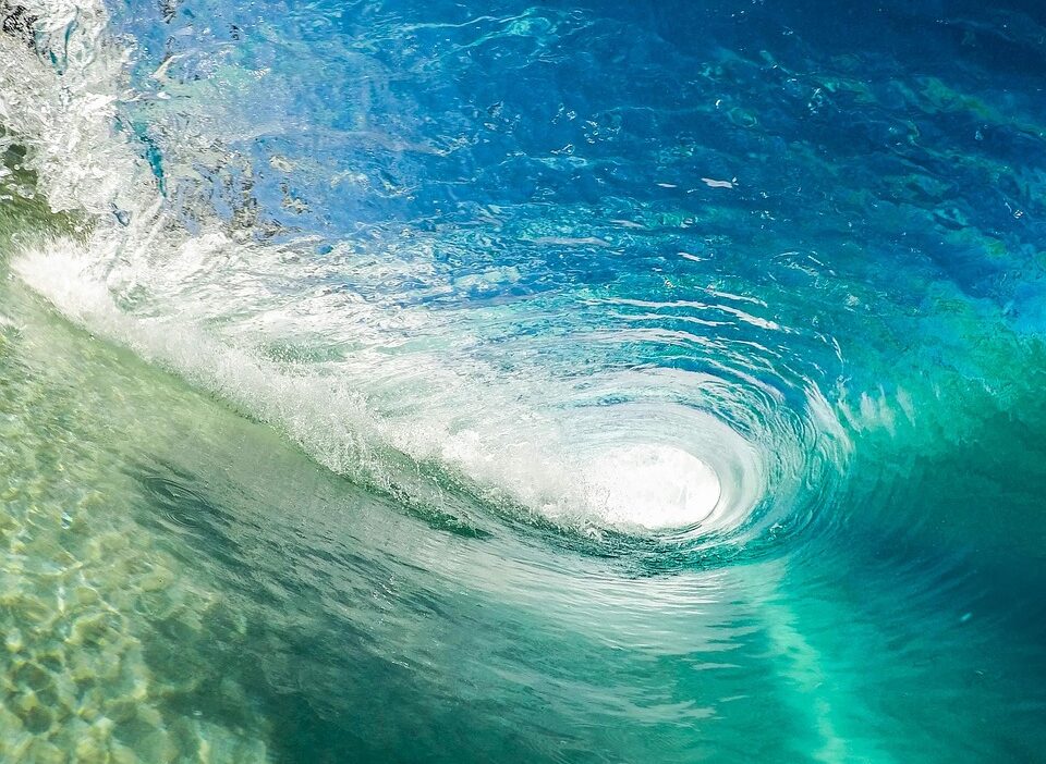 surfing