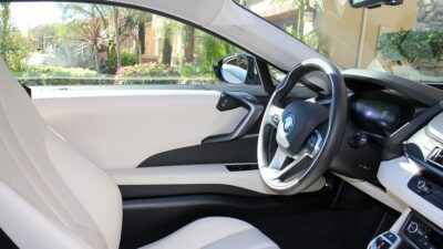 EVs