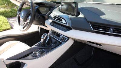 EVs