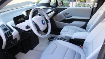EVs
