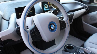 EVs