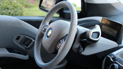 EVs