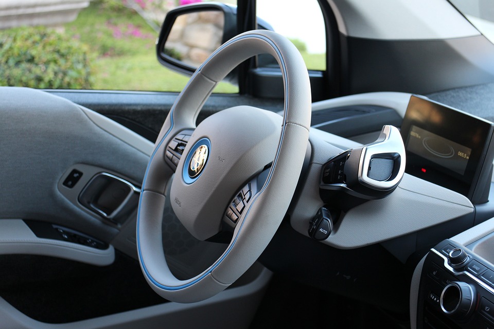 EVs
