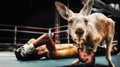 boxing