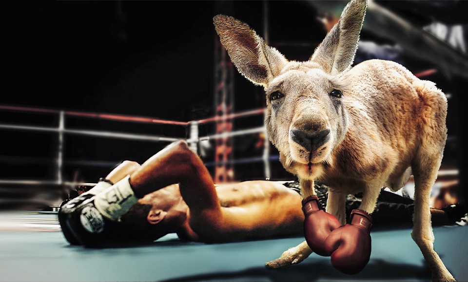 boxing