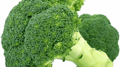 organic food