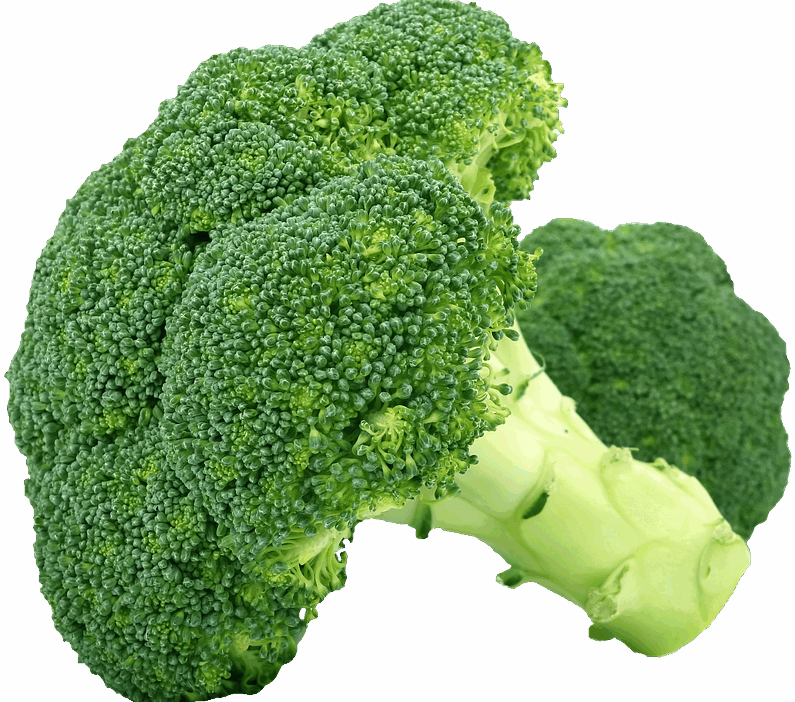 organic food