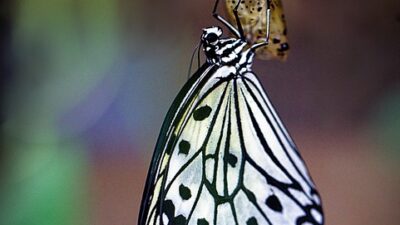 digital transformation