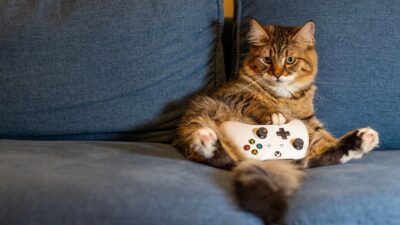 gaming
