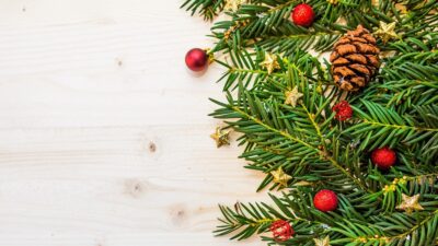 seasons