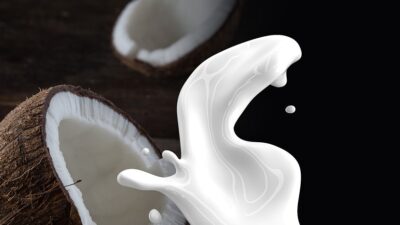 dairy-free