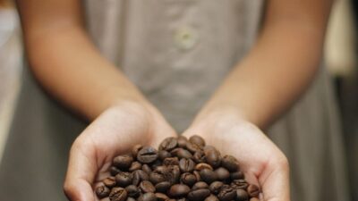 coffee