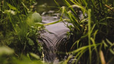 stream