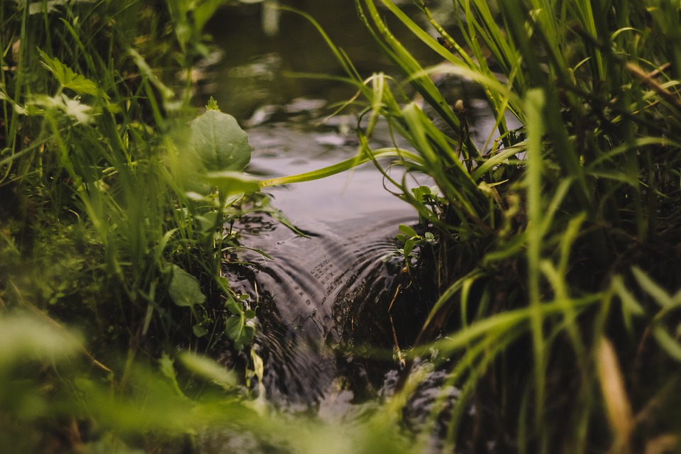 stream