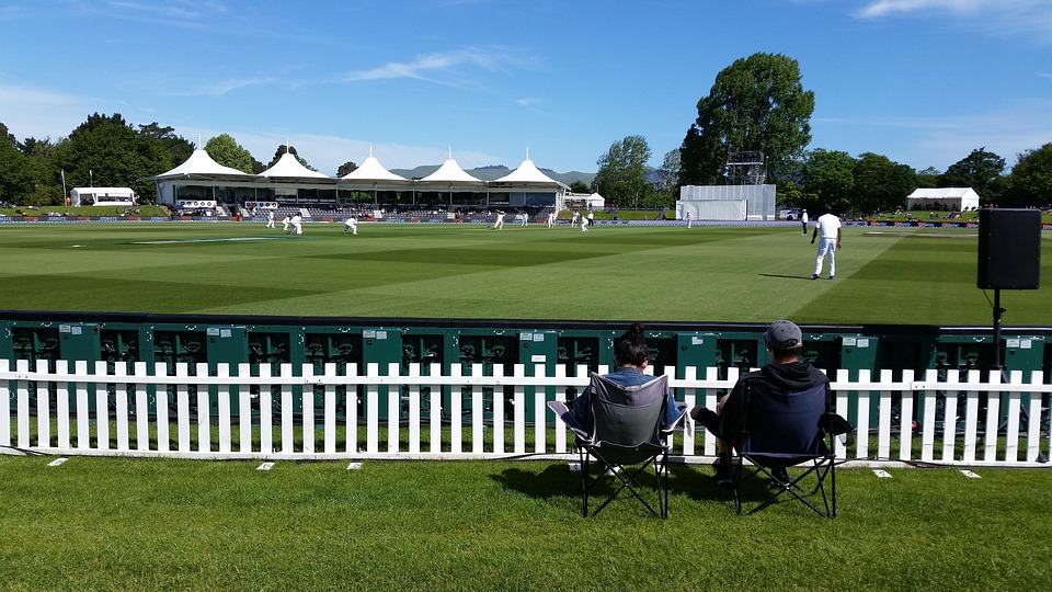 cricket