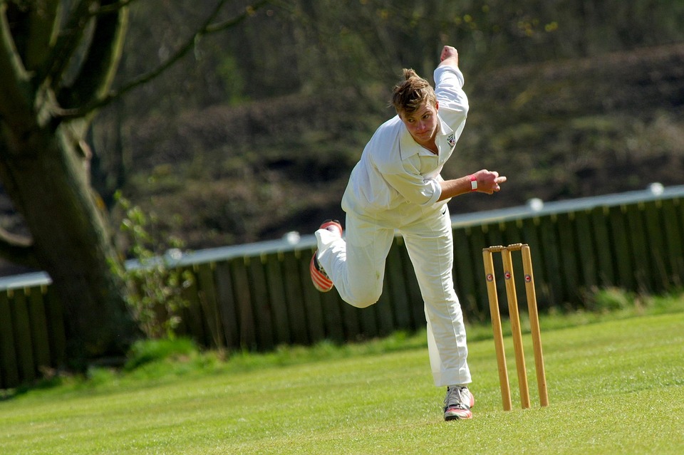 cricket