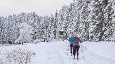 skiing