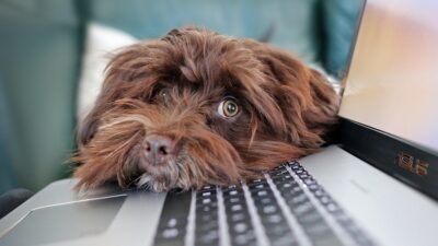 gaming laptop