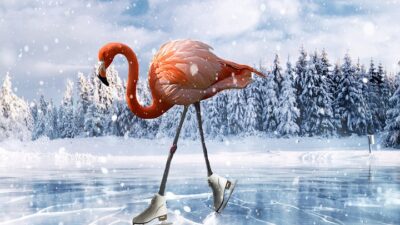 skating