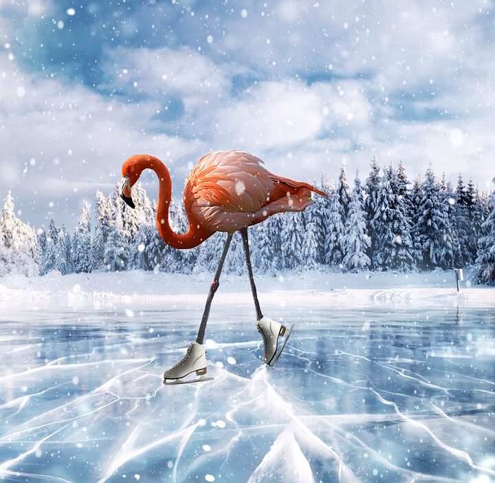 skating