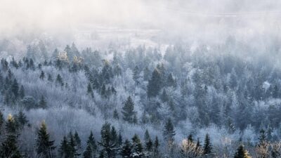 seasons