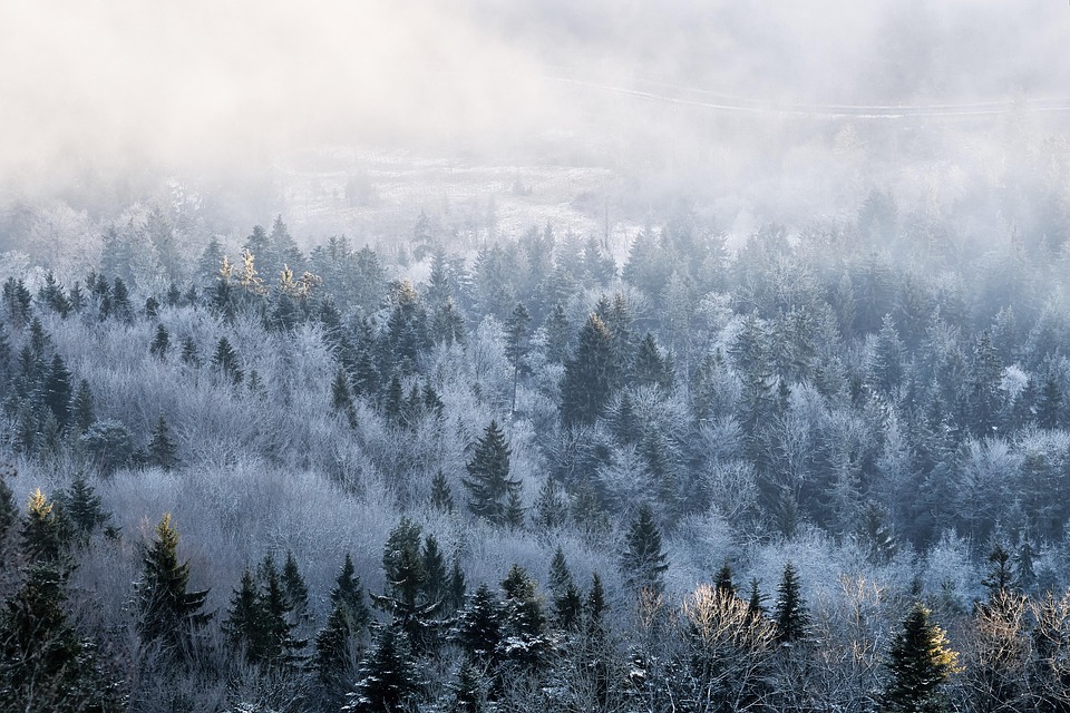 seasons