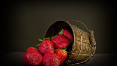 organic food