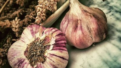 seasonal cooking