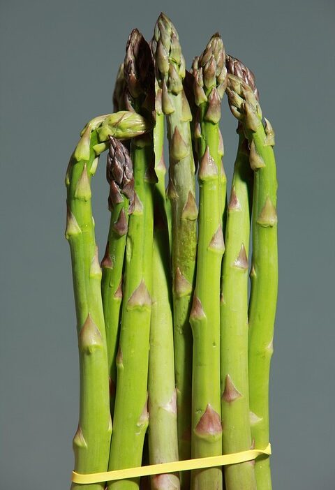 healthy food