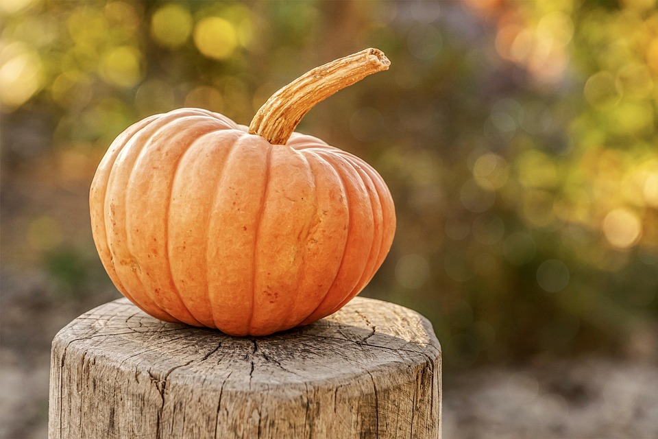 seasonal cooking