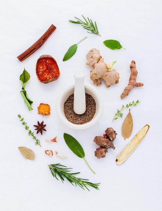 seasonal cooking