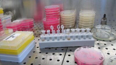 biotech