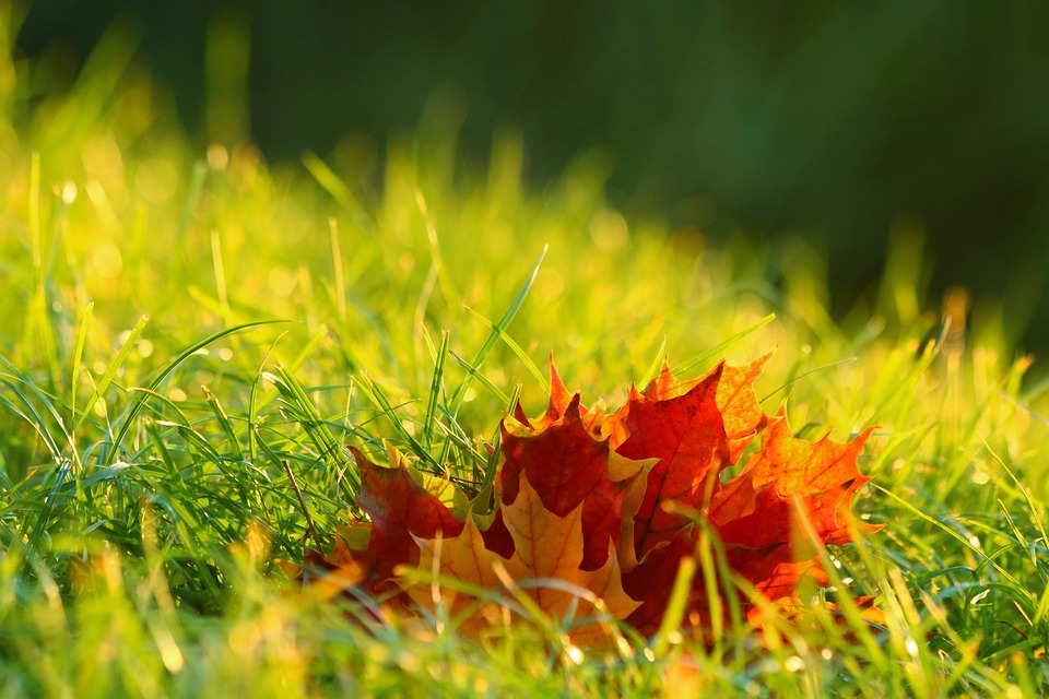 seasons