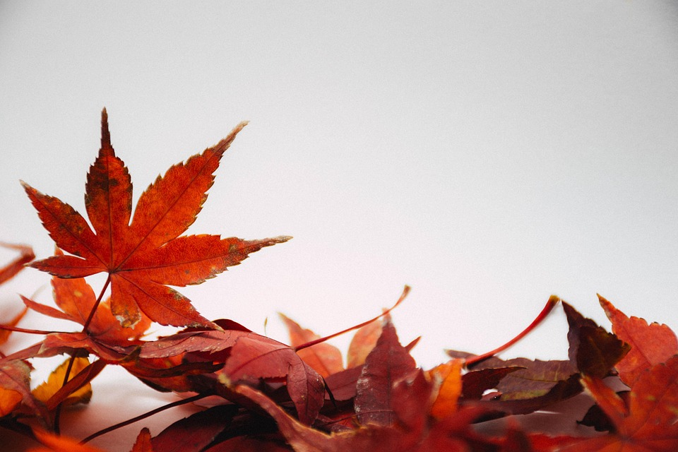 seasons
