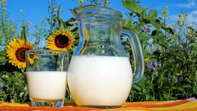 dairy-free