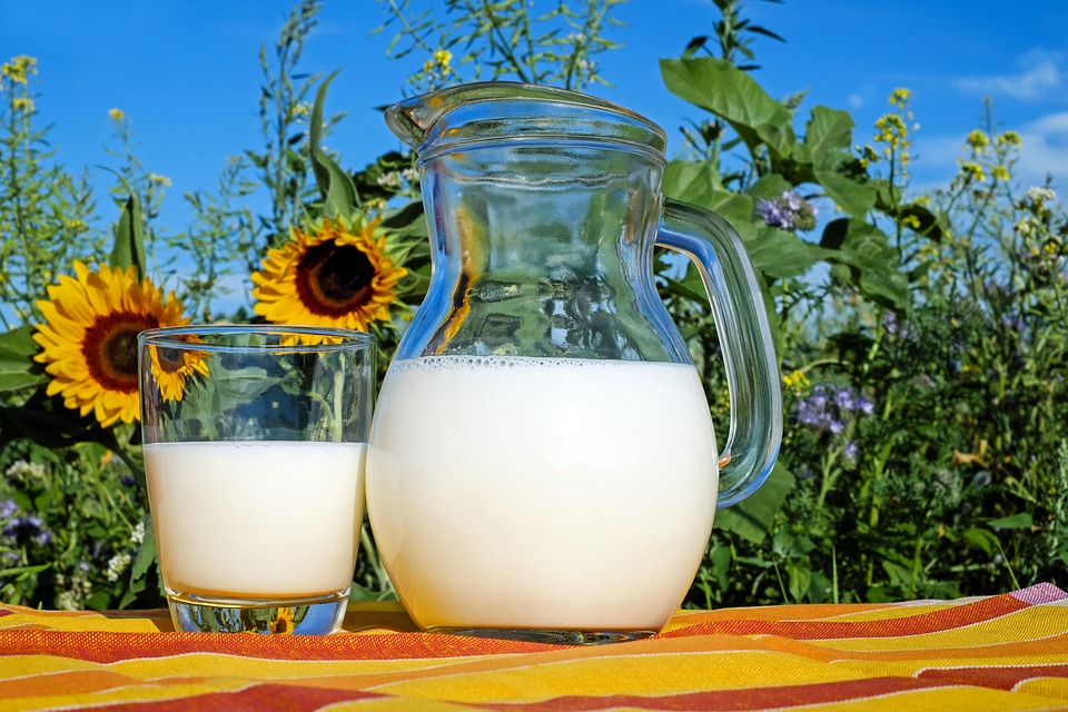 dairy-free