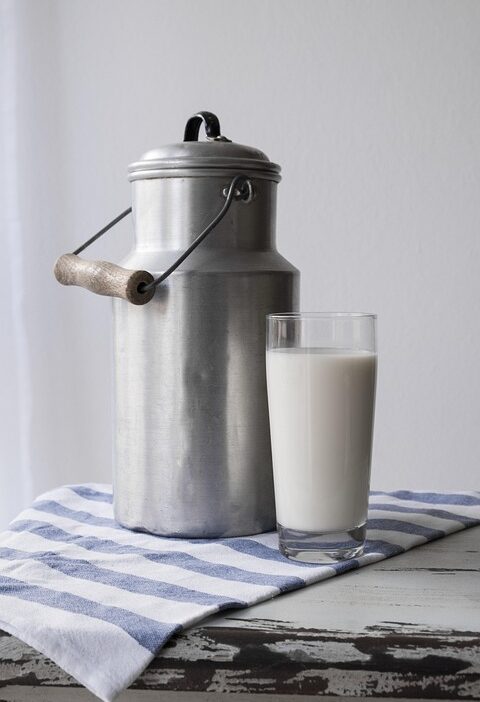 high-protein