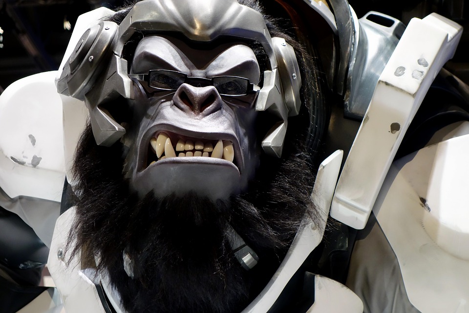 Overwatch