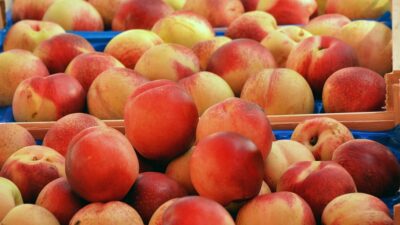 healthy food