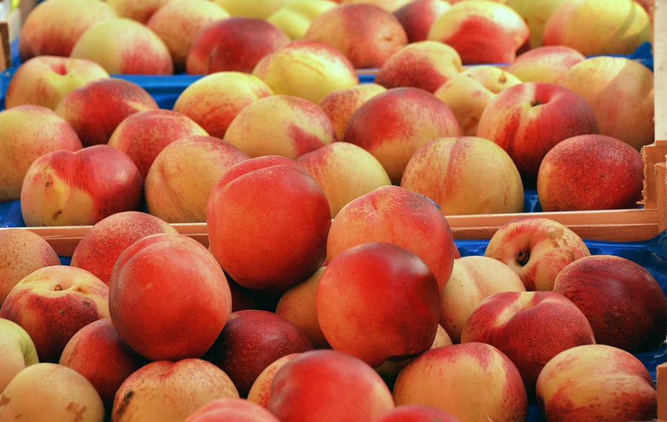 healthy food