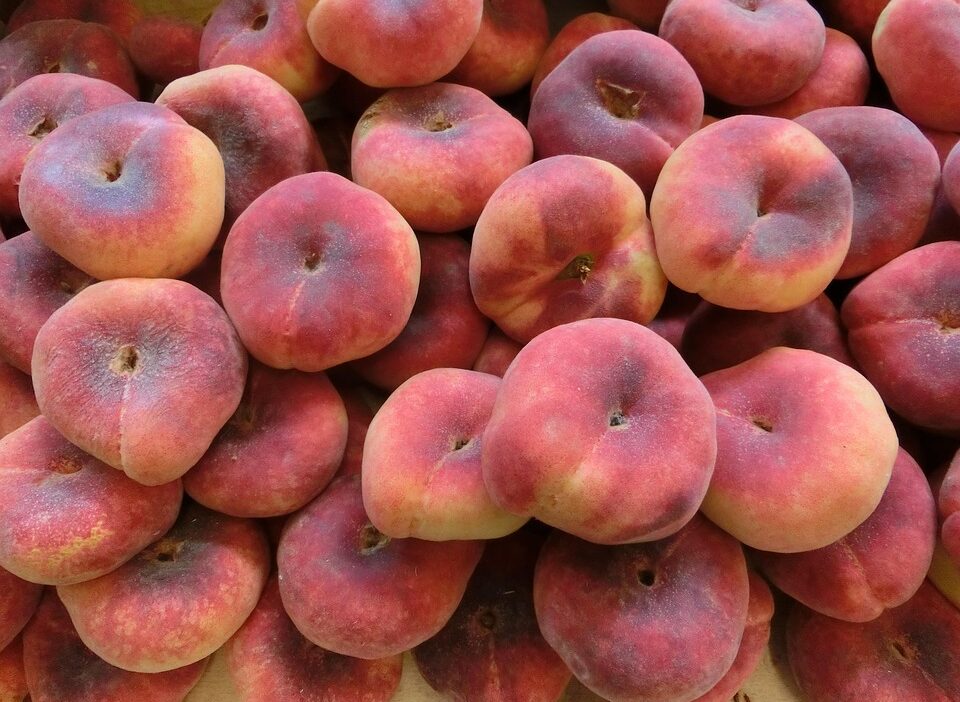 organic food