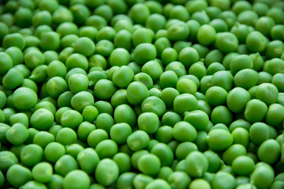 food photography