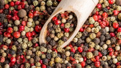 seasonal cooking