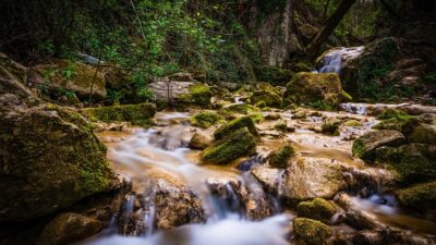 stream