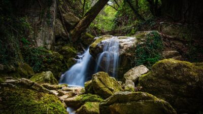 stream